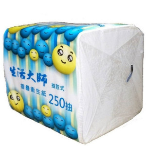 生活大師摺疊衛生紙250抽48包/箱